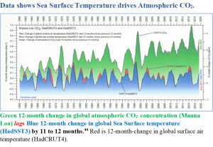 CO2-vs-Sea-surface-Temperature