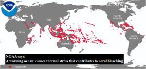 Coral-Reefs-World-Map