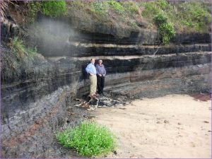 Bulli