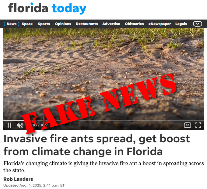florida-today-fire-ants
