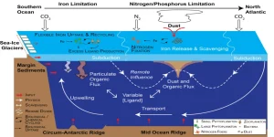 the iron cycle in the ocean