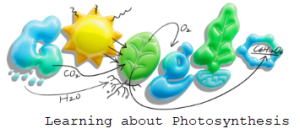 Google-Photosynthesis