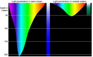 Water-Penetration