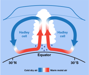 Hadley_cells