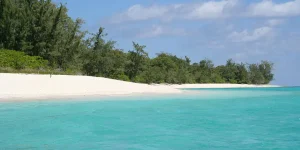 beach-228276_1280