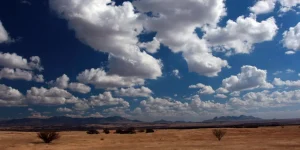 Arizona_rangeland_(30773398225)