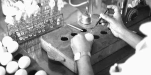 Researcher_injecting_smallpox_into_chicken_eggs--Bangledesh