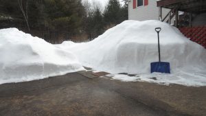 SAM_7900-small