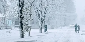 Snowfall_(Vytachiv,_Ukraine)