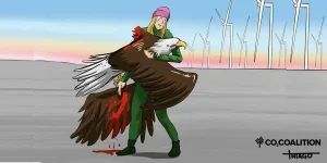 co2 coalition eagle kill