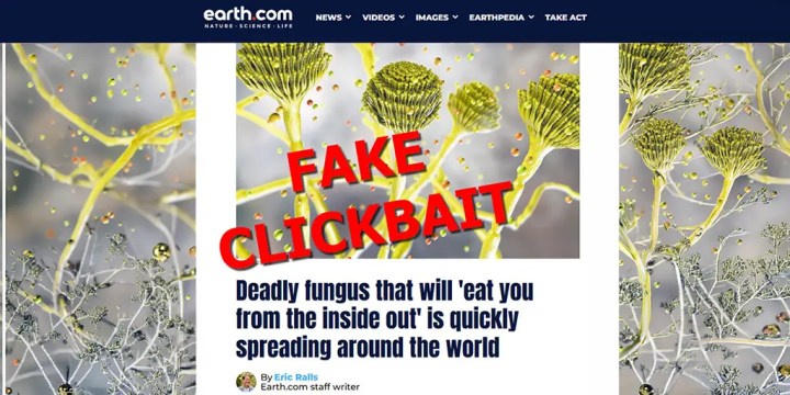 earh-dot-com-fungus-clickbait