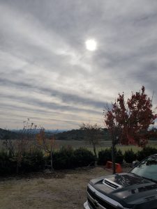 wintersky