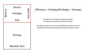 Entropy