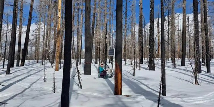 a snow monitoring station measuring the impact of forest fires on snowmelt vulnerability