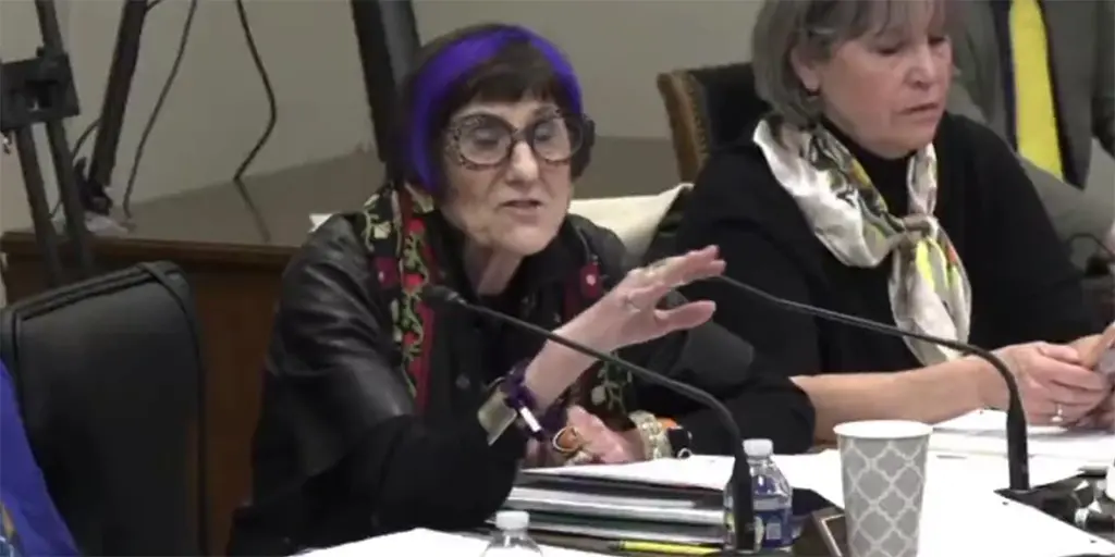 Lee Zeldin Infuriates Purple-Haired Democrat While He Schools Her On Basic Supreme Court Cases