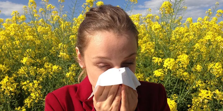 cenczi-allergy-1738191