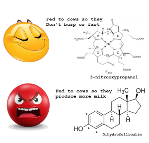 Methane-vs-BGH