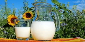 Milk-2474993_1920