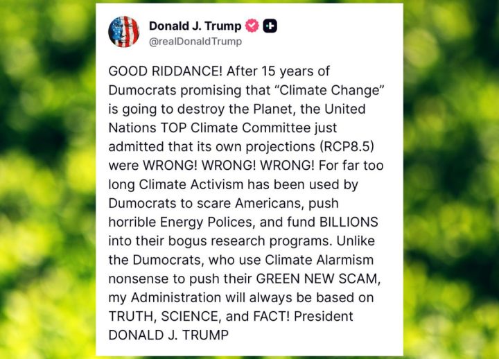 donald trump tweet